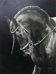 Realistic Oil Painting Is A Black Horse